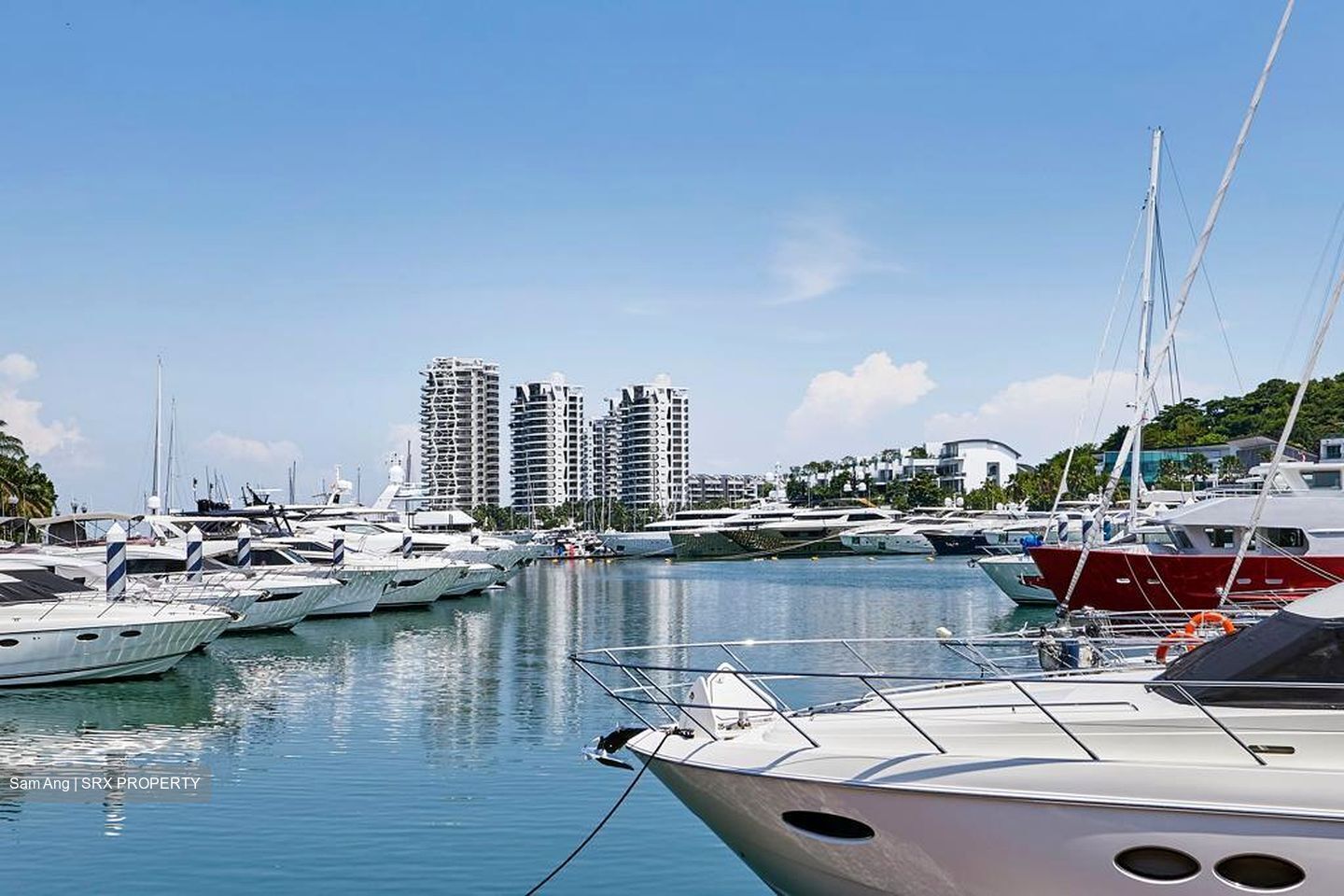 Cape Royale (D4), Condominium For Sale 97894111